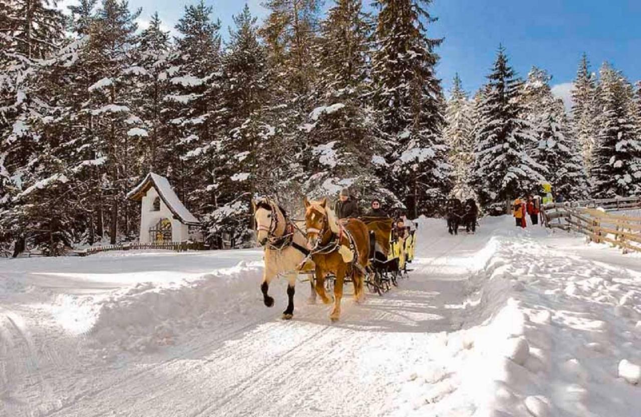 Appartmenthaus Birkenwald Seefeld in Tirol Dış mekan fotoğraf