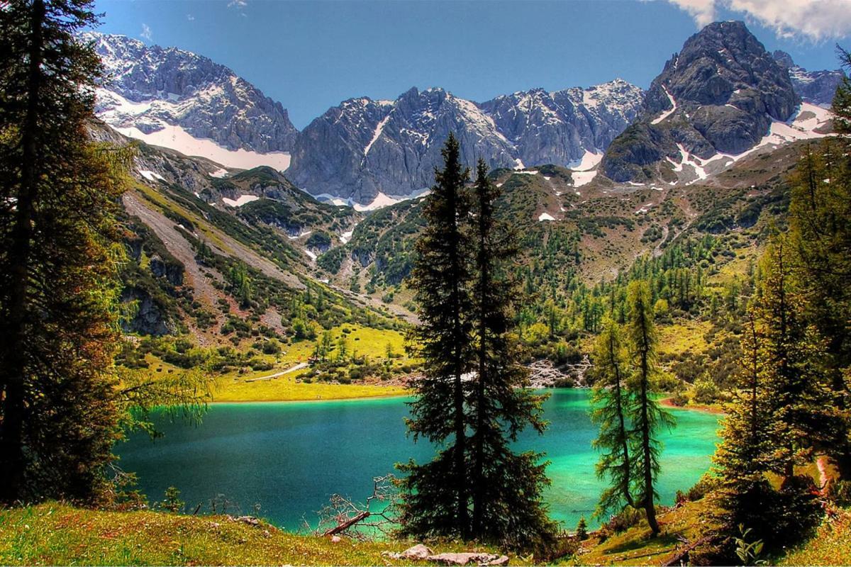 Appartmenthaus Birkenwald Seefeld in Tirol Dış mekan fotoğraf