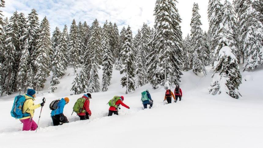 Appartmenthaus Birkenwald Seefeld in Tirol Dış mekan fotoğraf